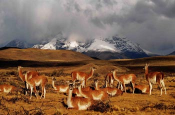 Torres Del Paine