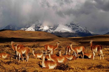 Torres Del Paine